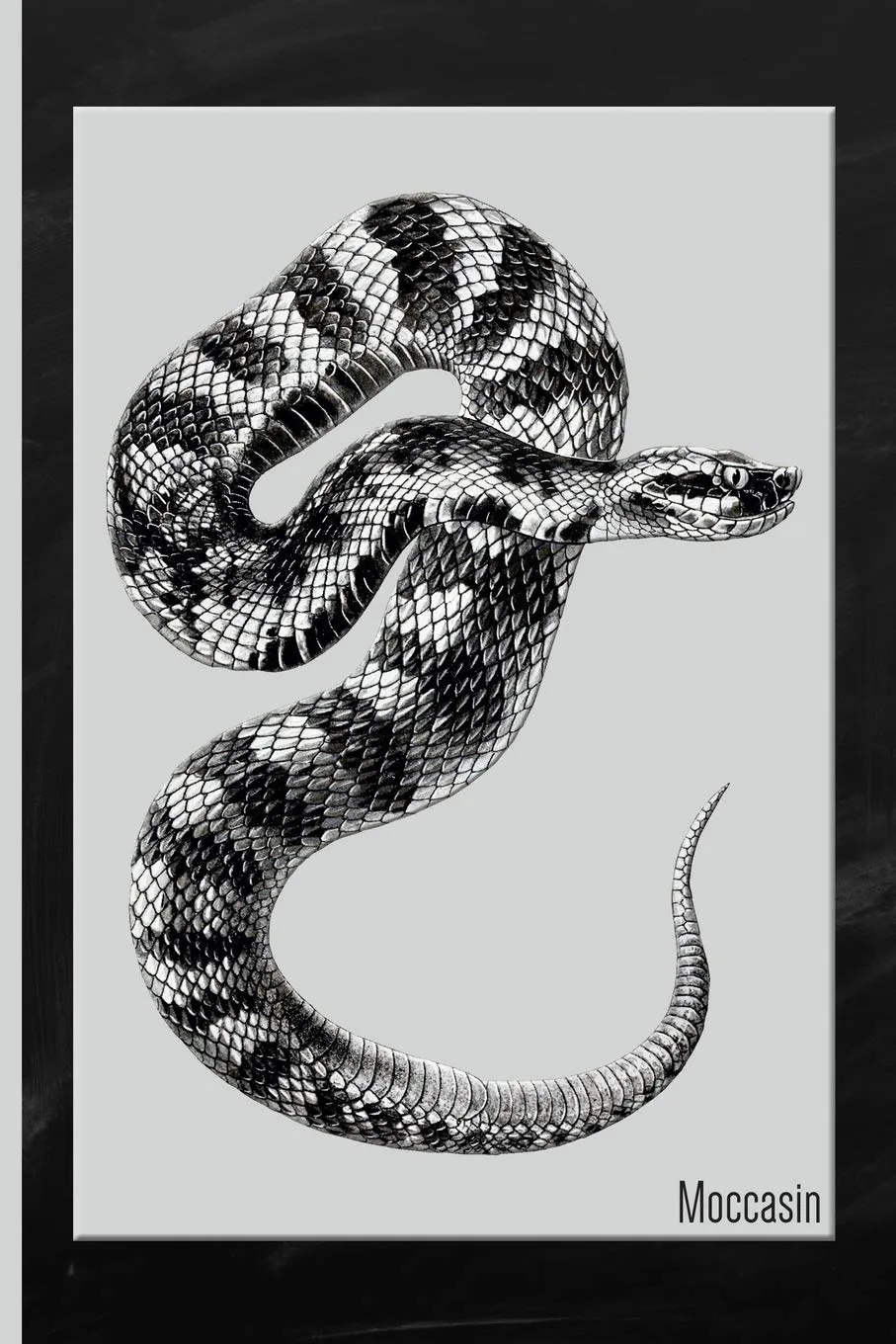 Snake : Moccasin Watercolor: 6x9 College Ruled Notebook Paperback  September 10, 2019